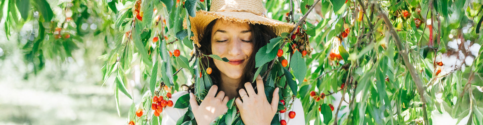 cherry-mai