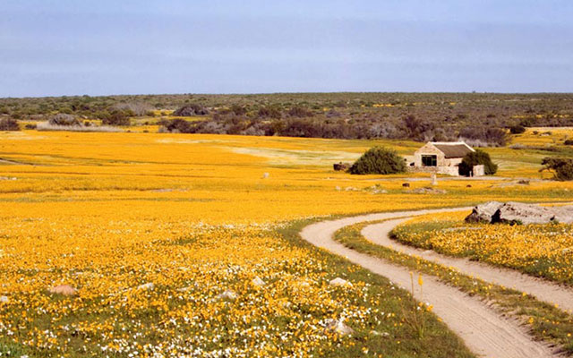 Lets-go-Adventures-Papkuilsfontein-Farm